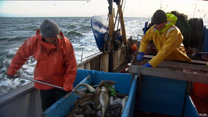 Los pescadores encuentran cada vez más residuos de plástico en sus capturas.