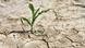 Soil and drought Soil and drought