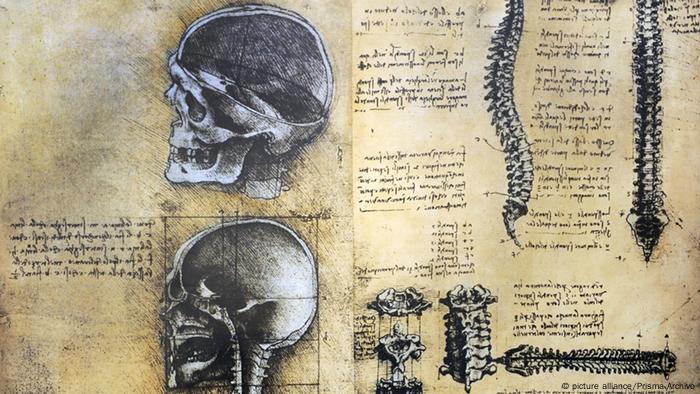Estudios de anatomía de Da Vinci