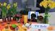 Bildergalerie UGC Haft Sin Bildergalerie UGC Haft Sin