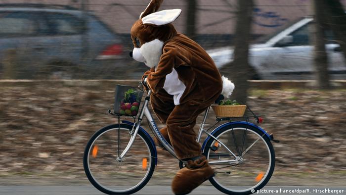 Ein Osterhase auf dem Fahrrad 