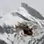 Germanwings 4U9525 Flugzeugabsturz Rettungsmannschaften vor Ort