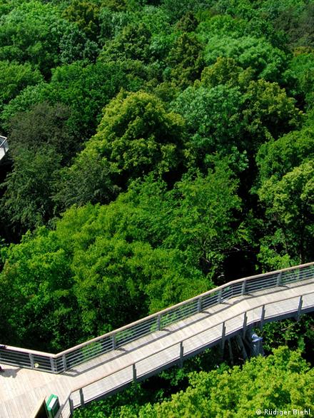Hainich - National Park and World Heritage Site