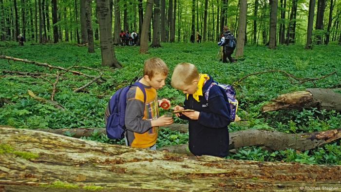 Deutschland Nationalpark Hainich (Bildergalerie)