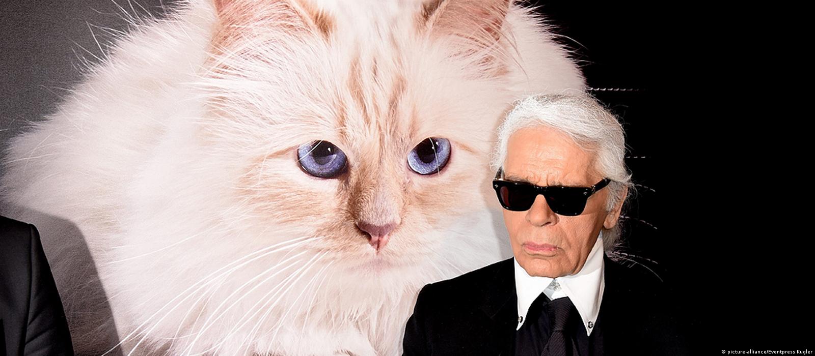 Karl Lagerfeld Dead: Fashion Icon and Chanel Designer Was 85 – The  Hollywood Reporter