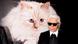 Karl Lagerfeld and Choupette Karl Lagerfeld and Choupette