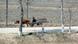 Nordkorea - Ein Bauer auf seinem Ochsenkarren (Foto: Getty Images) Nordkorea - Ein Bauer auf seinem Ochsenkarren (Foto: Getty Images)