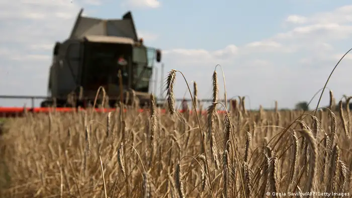 Ukraine Landwirtschaft Weizenernte