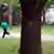 Полицейский стреляет в афроамериканца - стоп-кадр представленного в суде видео