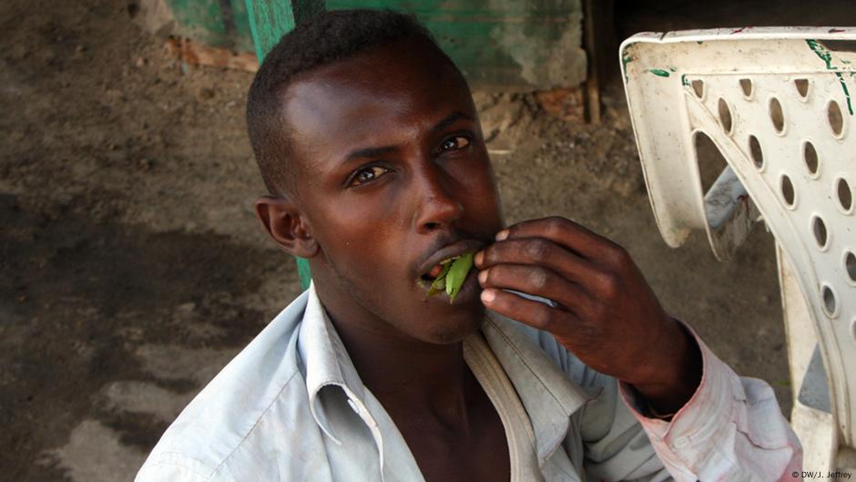 Chewing khat in Somaliland DW 04/09/2015