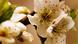 Bildergalerie Blumen Blüte Bildergalerie Blumen Blüte