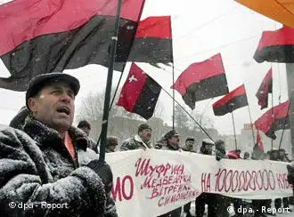 天然气冲突：乌克兰人在基辅示威