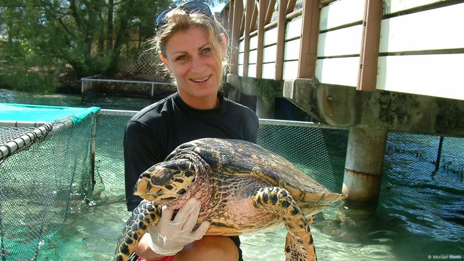Clinic saves sea turtles, also by changing minds | Environment | All