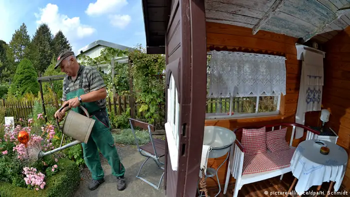 Schrebergärten (picture-alliance/dpa/H. Schmidt)