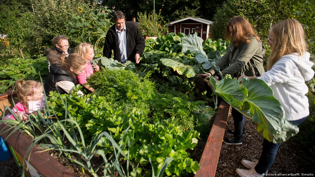 关于德国城市小菜园你不能不知道的几件事 文化经纬 Dw 03 06 18
