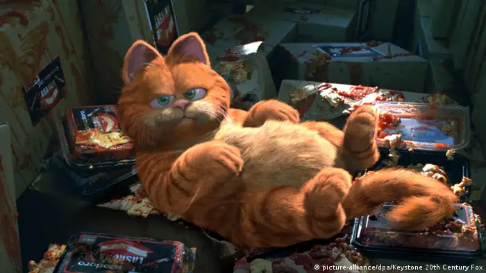 Bildergalerie Berühmte Katzen Garfield