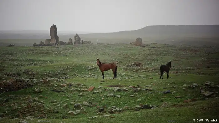 Horses roam among ruins