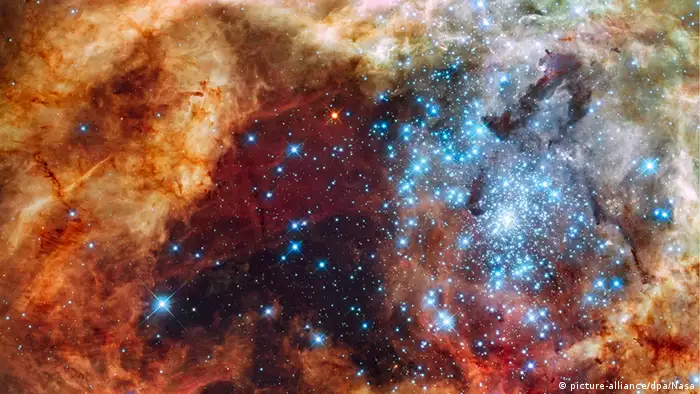 Un jardín estelar en la Gran Nube de Magallanes, una galaxia satélite y compañera de nuestra Vía Láctea.