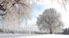 Snowy landscape in Baden-Wuerttemberg, Germany Snowy landscape in Baden-Wuerttemberg, Germany