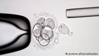 An idiot's guide to human gene editing – DW – 12/03/2015