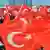 Турецкие флаги