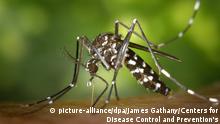 Angola adquire biolarvicida contra a malária após milhares de mortes