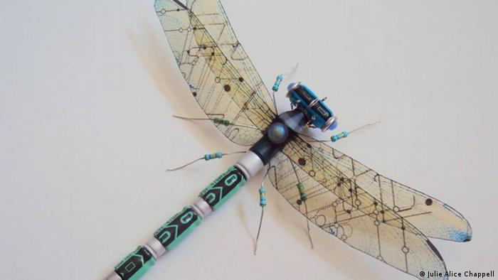 Photo: Dragonfly (Source: Julie Alice Chappell)