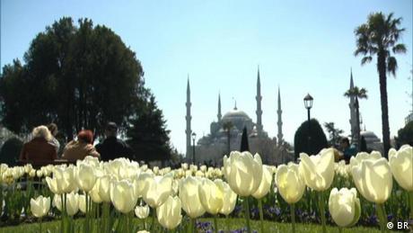 euromaxx_14.05_Tulpen_Istanbul