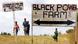 A sign points the way to 'Black Power Farm' A sign points the way to 'Black Power Farm'