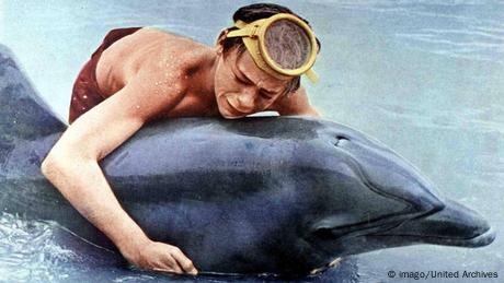 USA Delphin Flipper