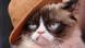 Grumpy Cat Grumpy Cat