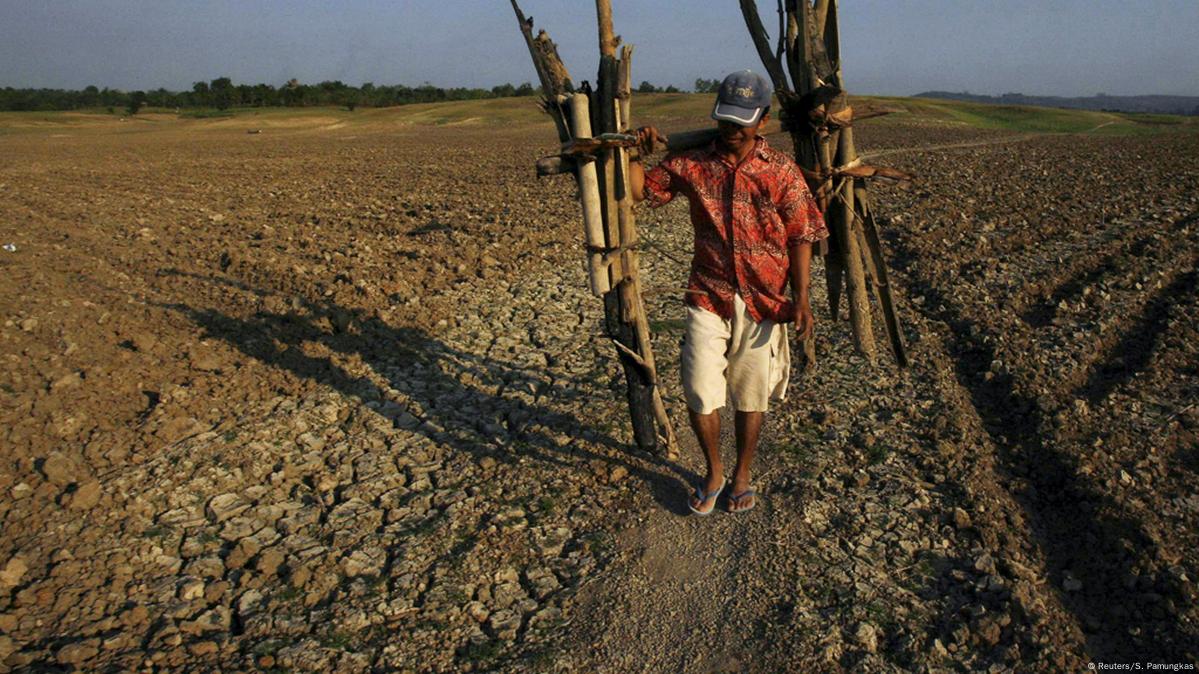 One-two punch: farming, global warming destroying unique East