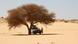 Région du Tibesti dans le nord du Tchad (photo d'illustration) Région du Tibesti dans le nord du Tchad (photo d'illustration)