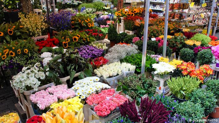 Цветочный рынок в Амстердаме