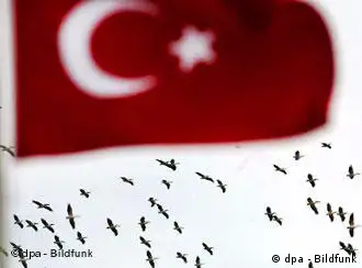 禽流感已经随候鸟入侵土耳其