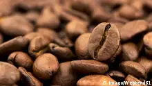 贫穷南苏丹的高端咖啡