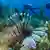 Mar azul profundo lleno de plantas y vida marina.