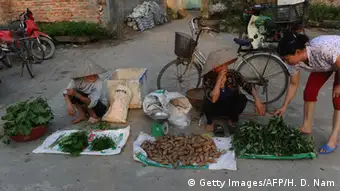 Vietnam Ernährung Markt in einem Dorf bei Hanoi