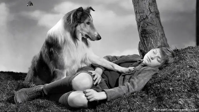 1943 - Lassie Come Home Film 