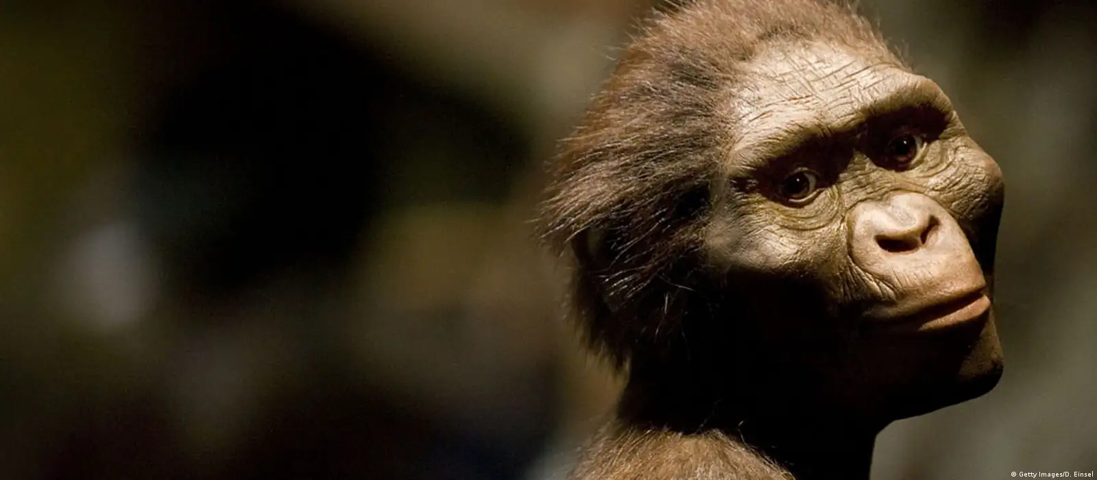 Achado pode desbancar \, image size:1600x700