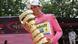 Alberto Contador küsst die Trophäe nach seinem Sieg beim Giro d'Italia (Foto: LUK BENIES/AFP/Getty Images) Alberto Contador küsst die Trophäe nach seinem Sieg beim Giro d'Italia (Foto: LUK BENIES/AFP/Getty Images)