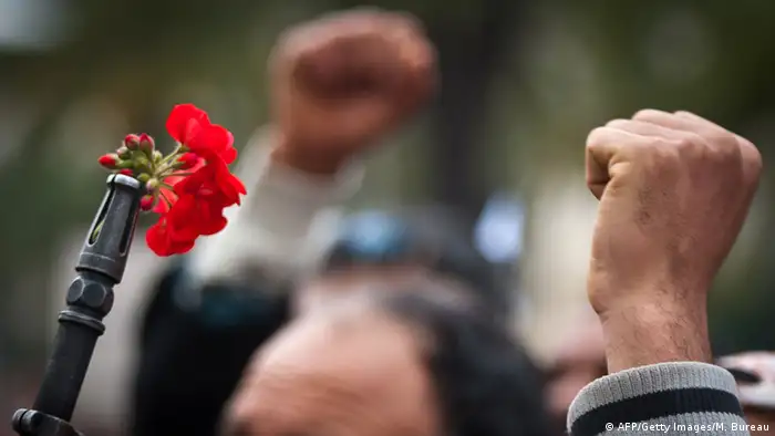 Bildergalerie Blumen der Revolution - Symbolbild