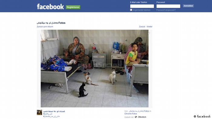 Screenshot Katze Ägypten Facebook EINSCHRÄNKUNG