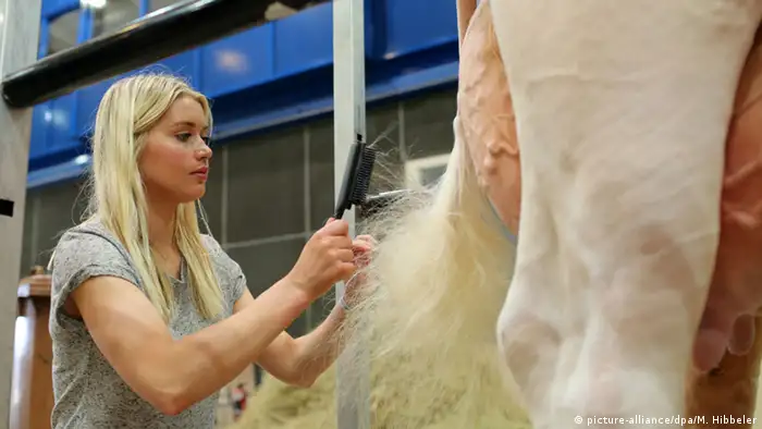 Oldenburg Deutschlands schönste Kuh steht zur Wahl (Foto: picture-alliance/dpa/M. Hibbeler)