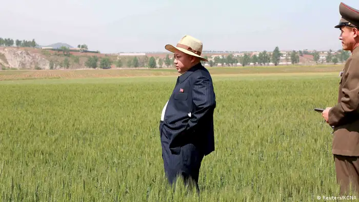 Nordkorea Landwirtschaft Propaganda