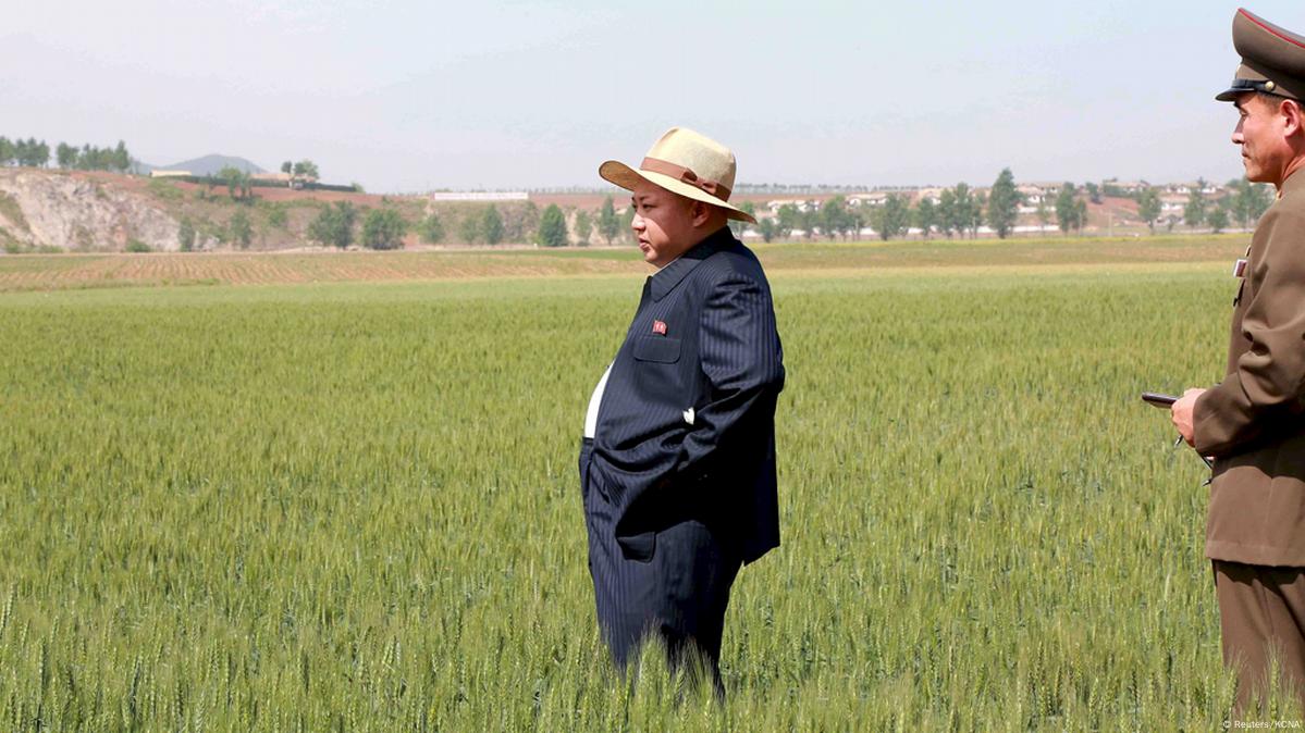 朝鲜民间市场、自留地或有助于抵御饥荒– DW – 2015年6月22日