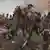Cena da batalha de Waterloo retratada pelo artista R. Knoetel