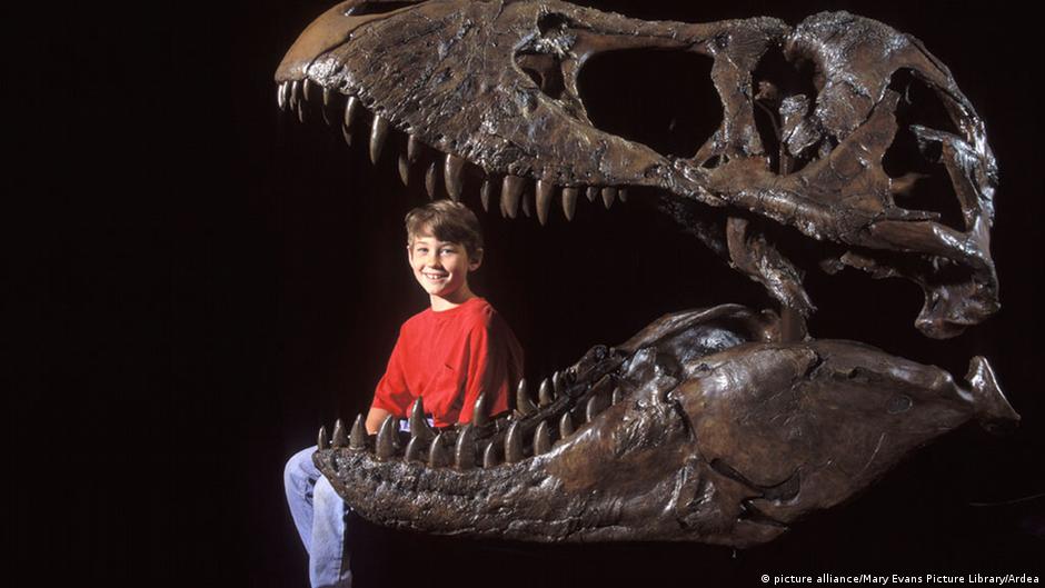 Interior corazón perdido modo Subastan el esqueleto de un T-Rex por casi 32 millones de dólares en Nueva  York | El Mundo | DW | 07.10.2020