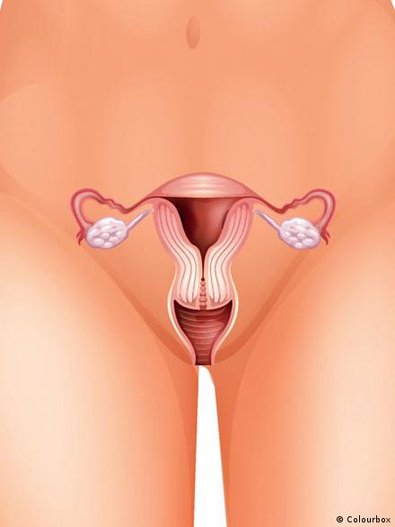 Eshakda uxlayotgan dost Paypoqda chiroyli dumba bilan jinsiy aloqa