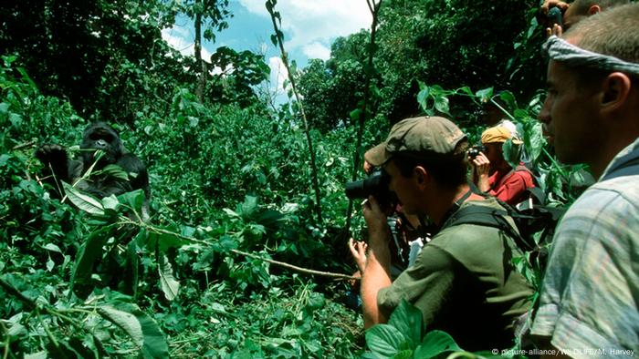 Five Of The World S Biggest Environmental Problems Environment All Topics From Climate Change To Conservation Dw 11 10 2016